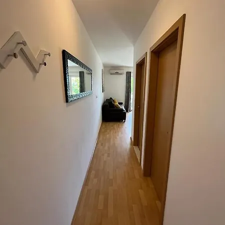 M A Kožino
